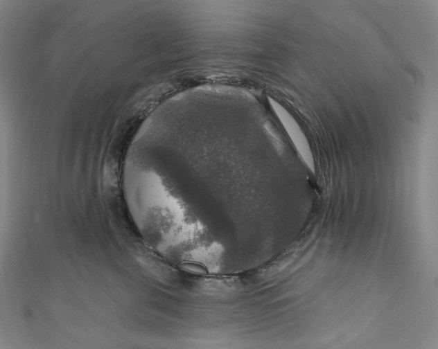 X0000111200571200907221132