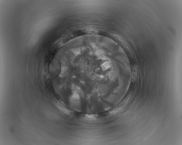 X0000111200573200907221132