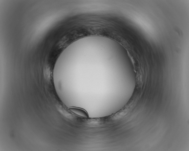 X0000111200574200907221132