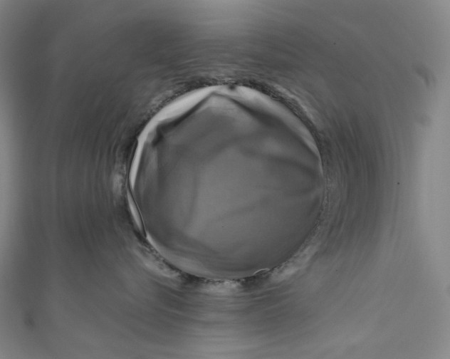 X0000111200576200907221132