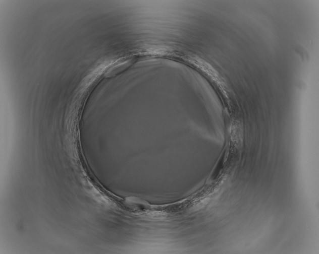 X0000111200577200907221132