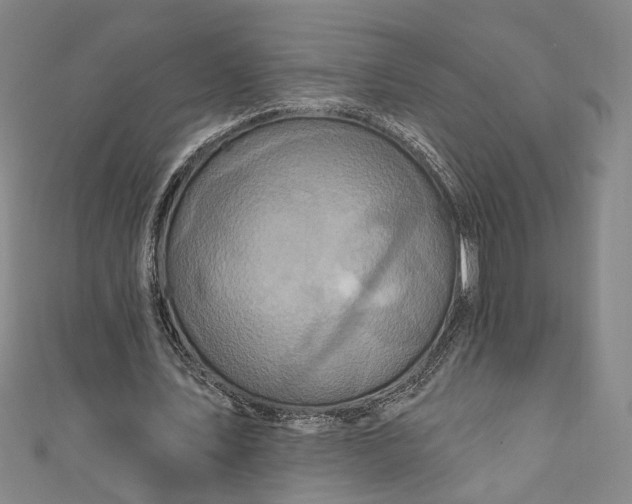 X0000111200579200907221132