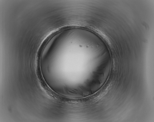 X0000111200580200907221132