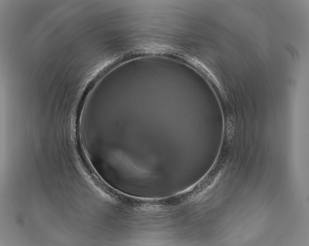 X0000111200581200907221132