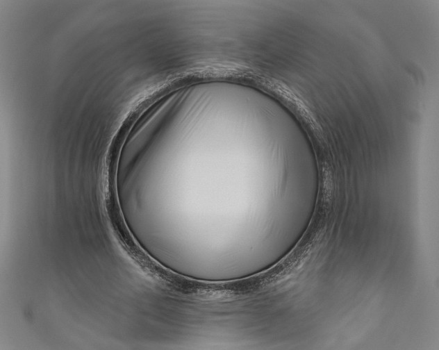 X0000111200582200907221132