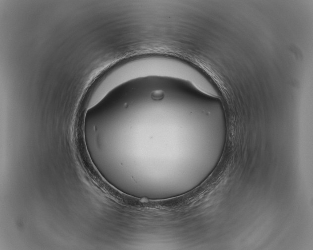 X0000111200583200907221132