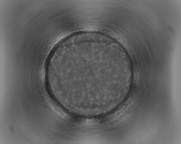 X0000111200584200907221132