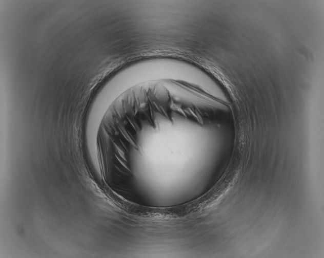 X0000111200585200907221132