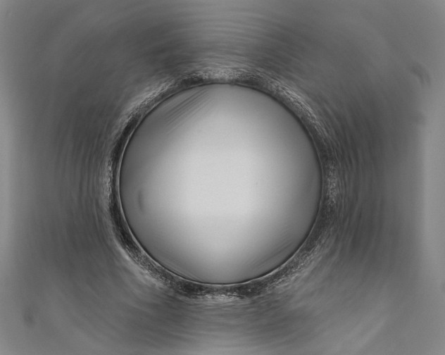 X0000111200586200907221132