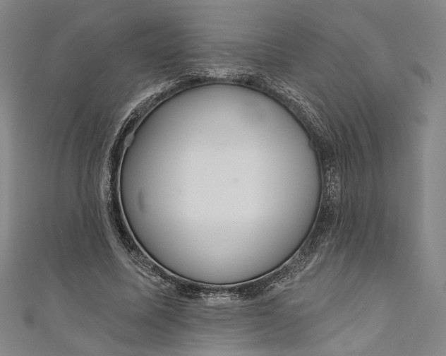 X0000111200587200907221132