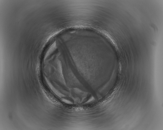 X0000111200588200907221132