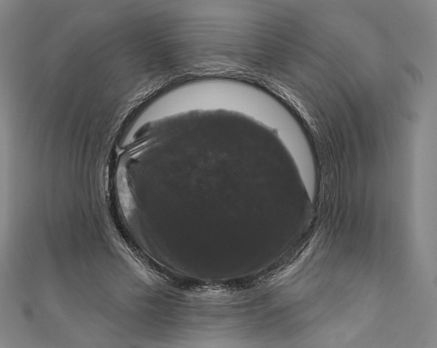 X0000111200589200907221132