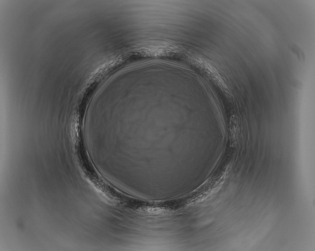 X0000111200590200907221132