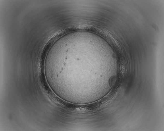 X0000111200591200907221132