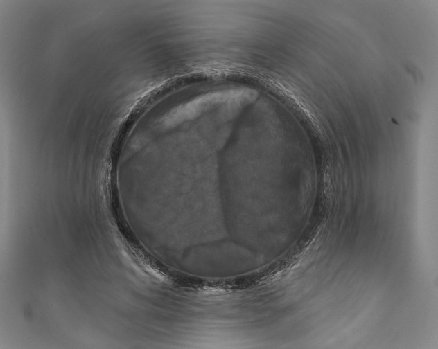 X0000111200592200907221132