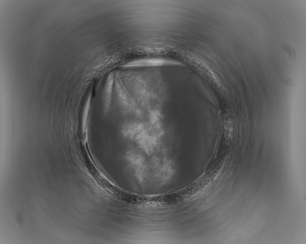 X0000111200593200907221132