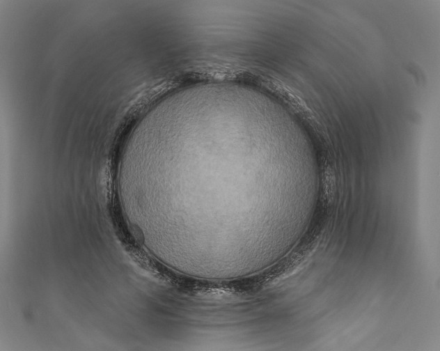 X0000111200594200907221132