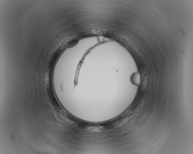 X0000111200595200907221132