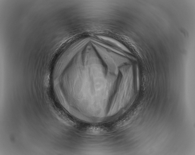 X0000111200596200907221132