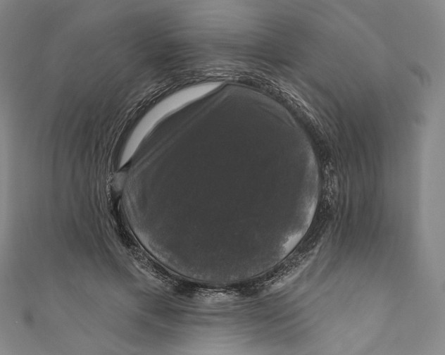 X0000111200597200907221132