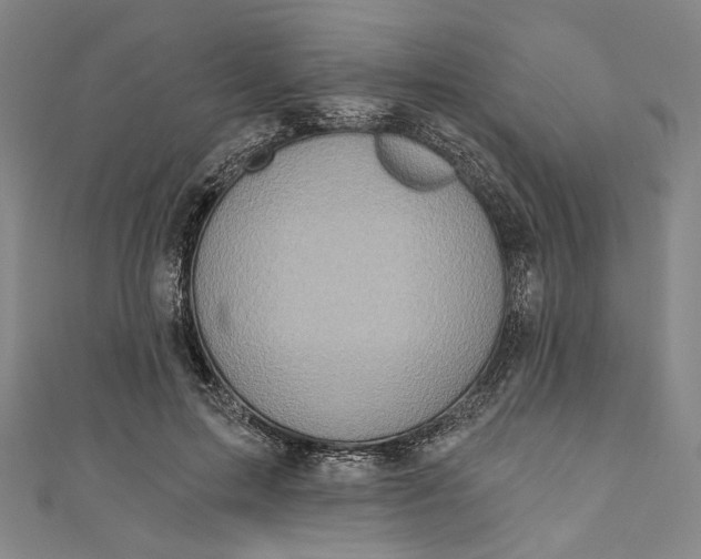 X0000111200599200907221132