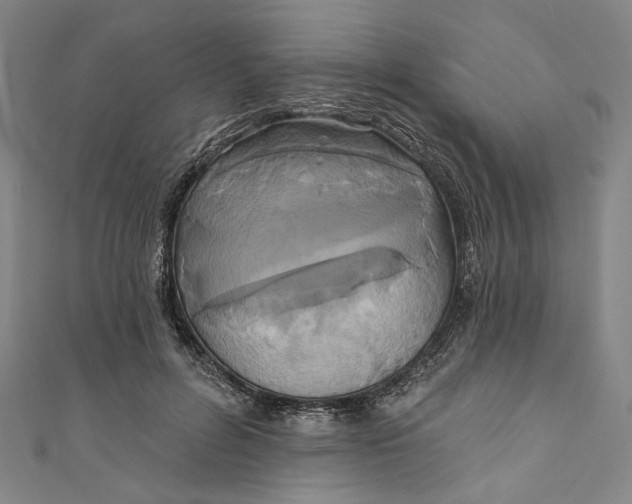 X0000111200600200907221132