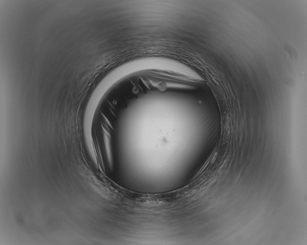 X0000111200601200907221132