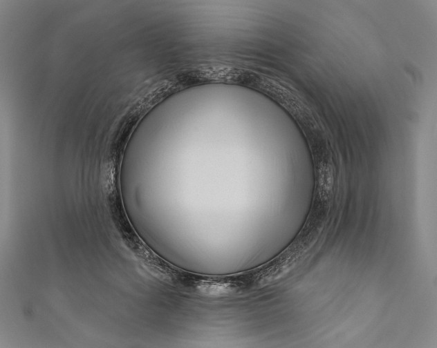 X0000111200602200907221132