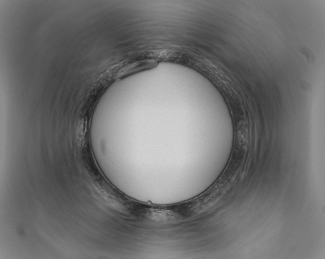 X0000111200605200907221131