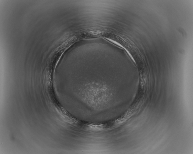 X0000111200606200907221131