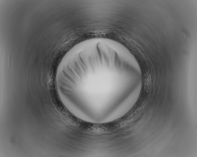 X0000111200608200907221131