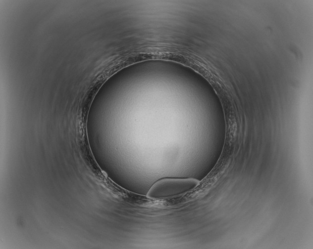 X0000111200609200907221131