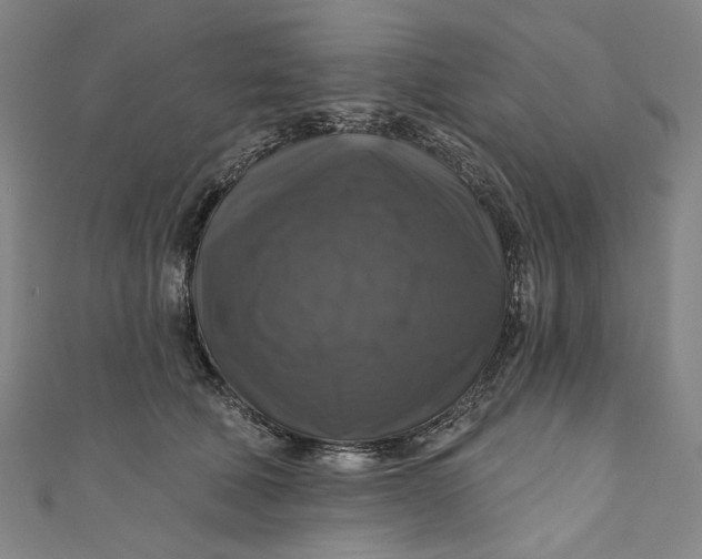 X0000111200610200907221131