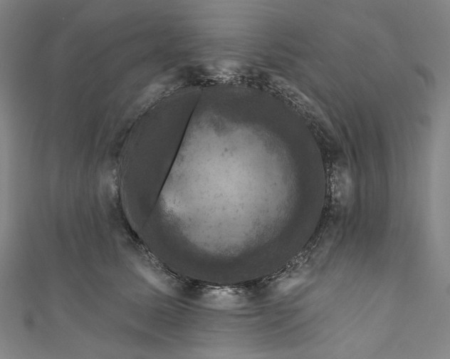 X0000111200611200907221131