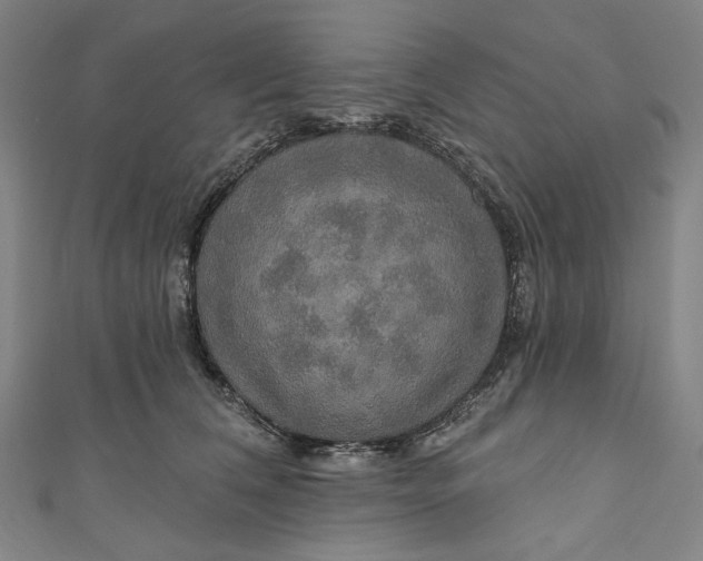 X0000111200612200907221131