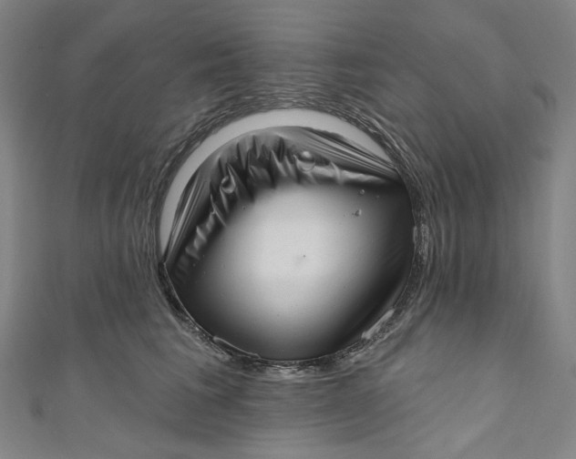 X0000111200613200907221131