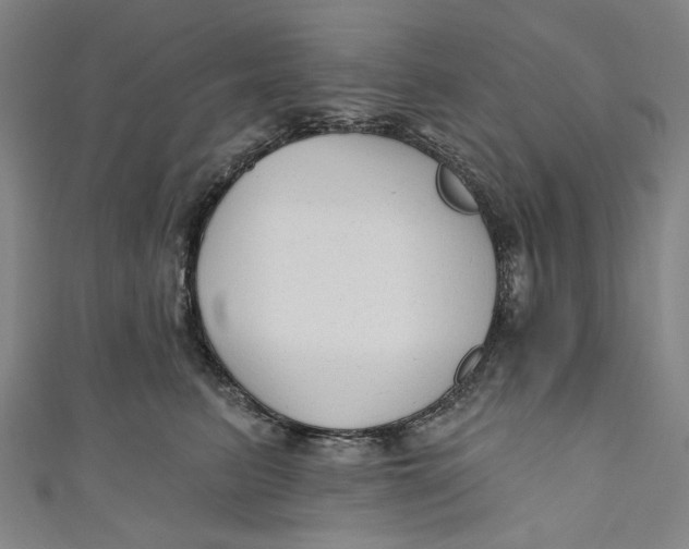 X0000111200615200907221131