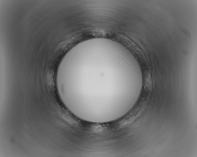 X0000111200616200907221131