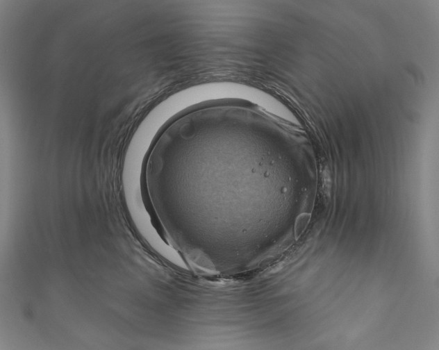 X0000111200617200907221131