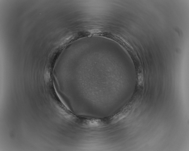 X0000111200618200907221131