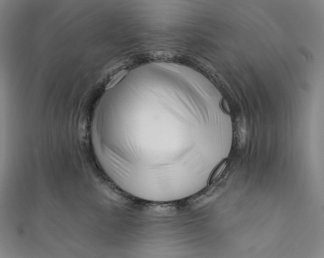 X0000111200619200907221131