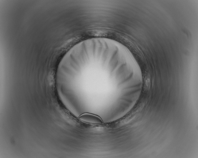 X0000111200620200907221131