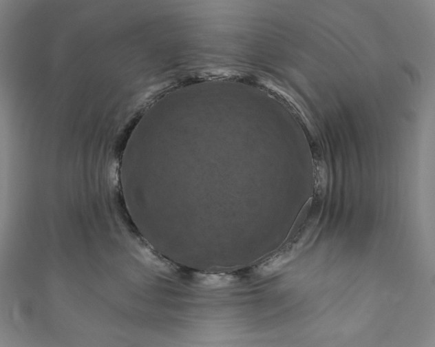 X0000111200621200907221131