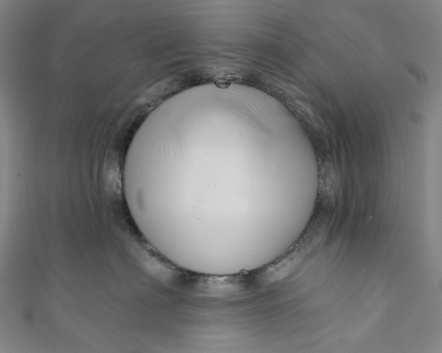 X0000111200622200907221131