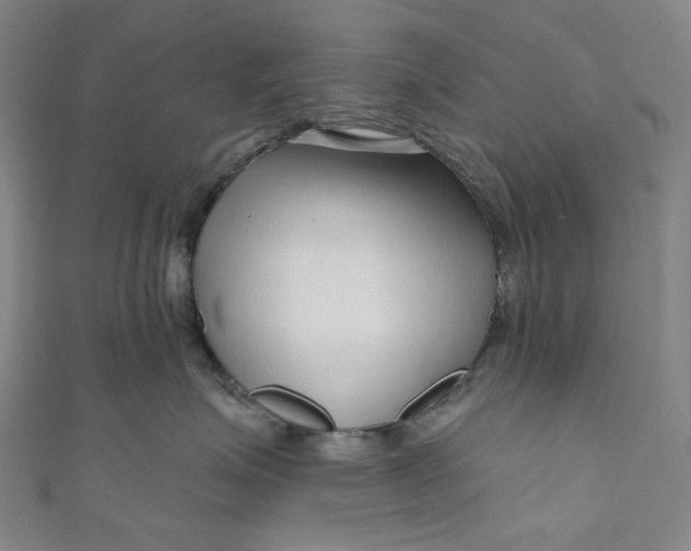 X0000111200623200907221131