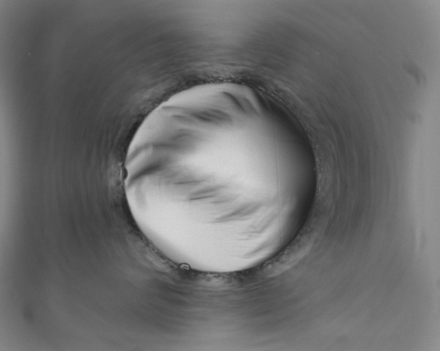 X0000111200624200907221131