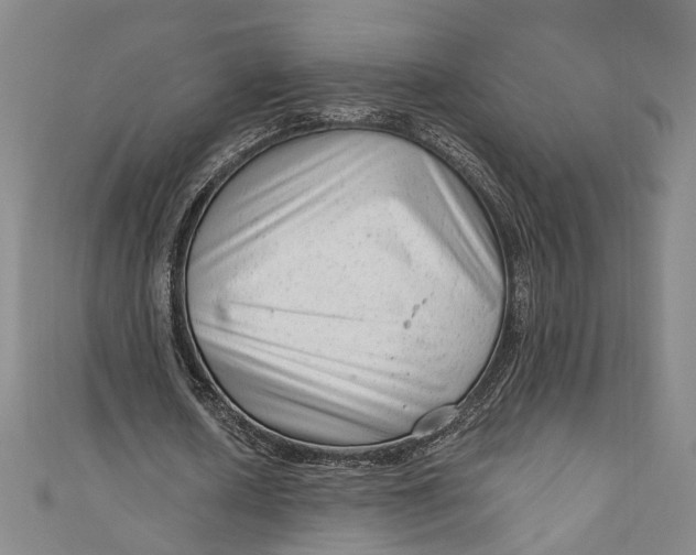 X0000111200626200907221130