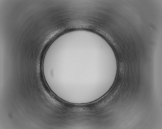 X0000111200629200907221130