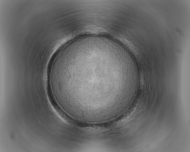 X0000111200630200907221130