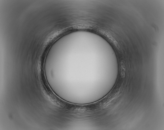 X0000111200631200907221131